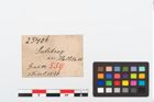 Etikett zu Bronzegitterfibel (NHMW-PRAE-025406)